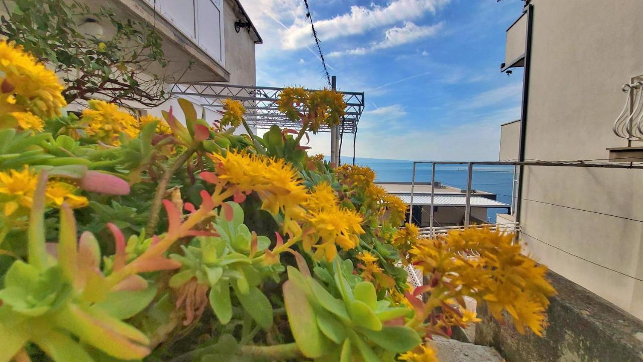 Apartment Cedo Omiš Esterno foto