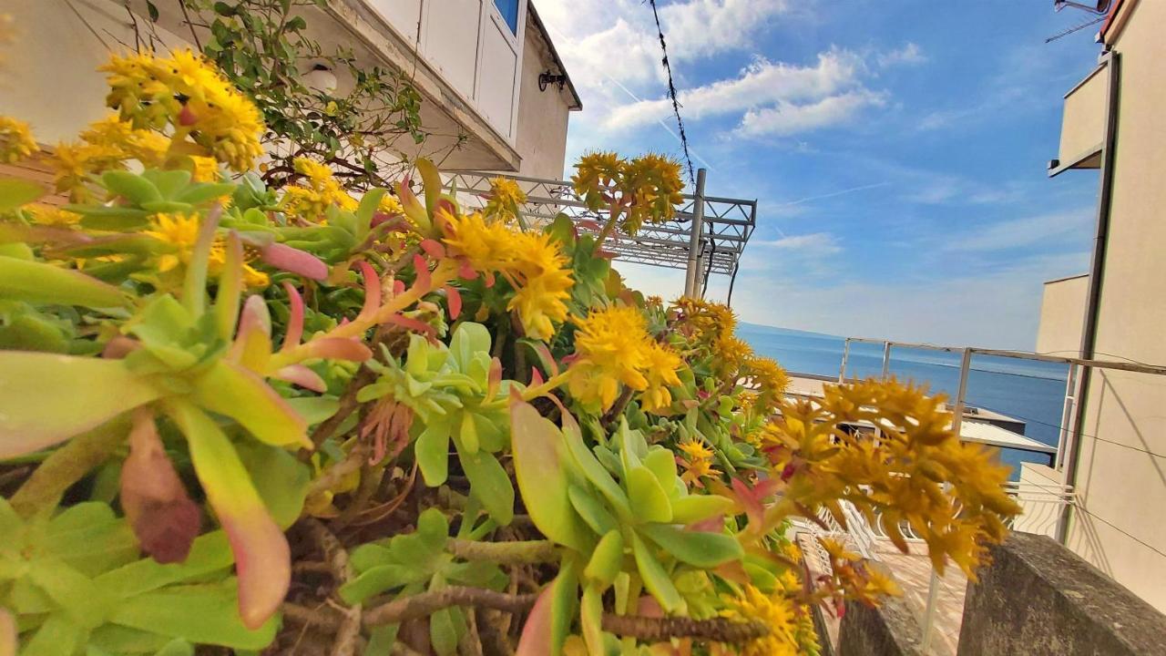 Apartment Cedo Omiš Esterno foto